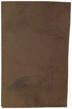 Visualizza l'immagine "FD D 132"